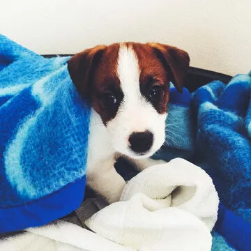 PG电子注册中心注册服务支持